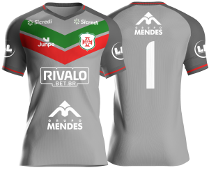 Camiseta Profissional de Jogo Cinza Portuguesa Santista MODELO 2026